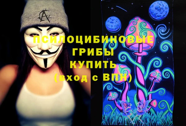 хмурый Алексеевка